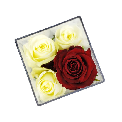 Minimalist 4 Rose Acrylic Box