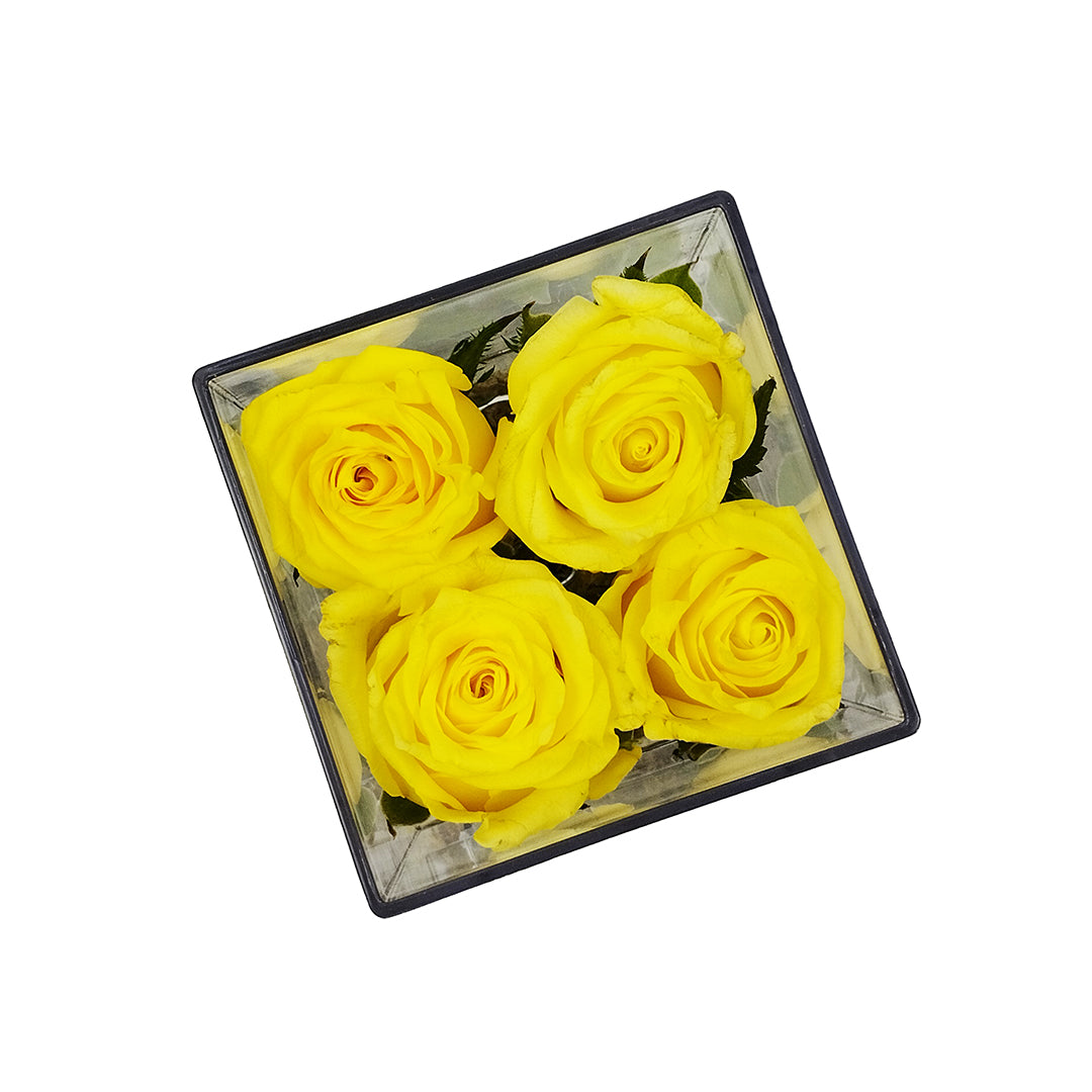 Minimalist 4 Rose Acrylic Box