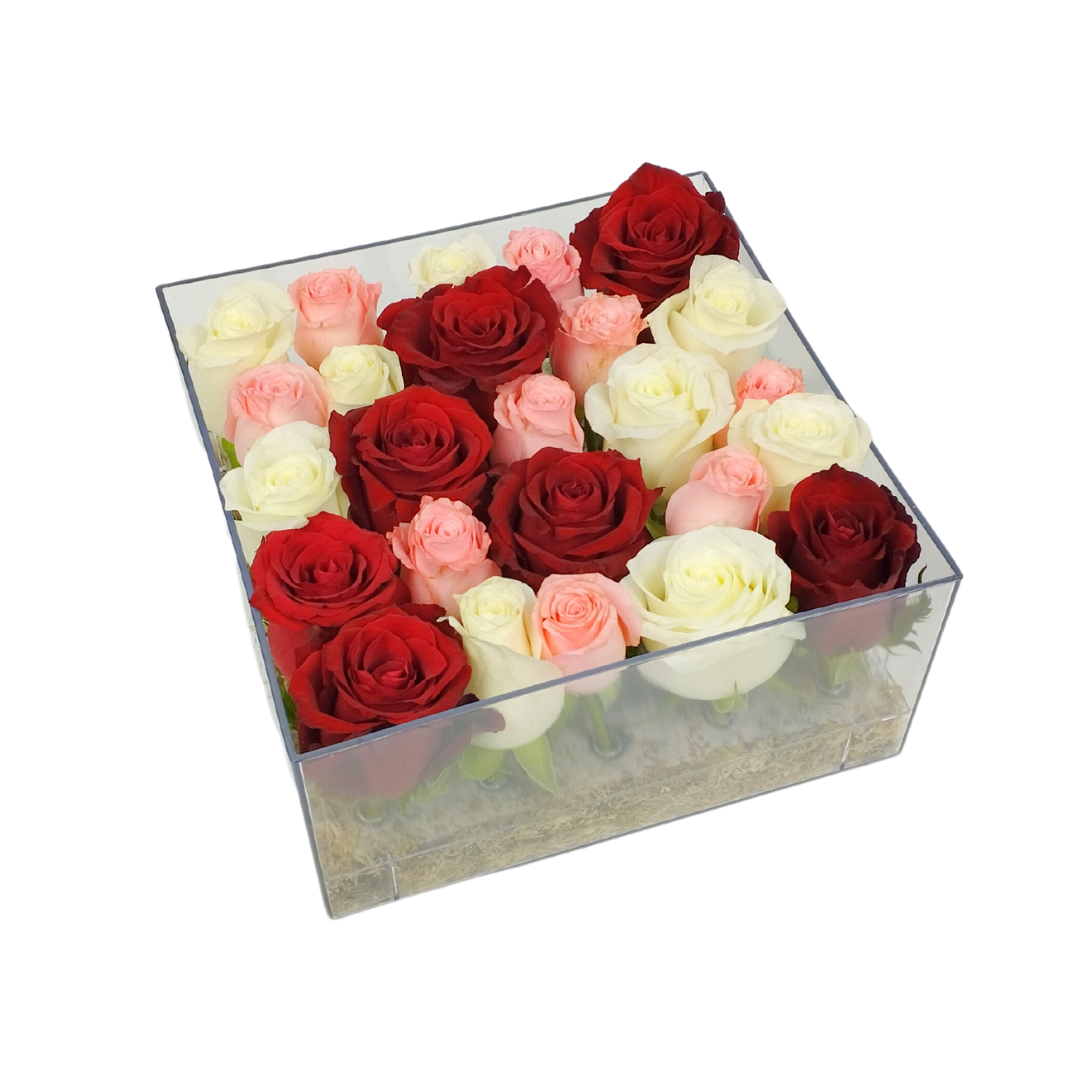 Minimalist 25 Rose Acrylic Box