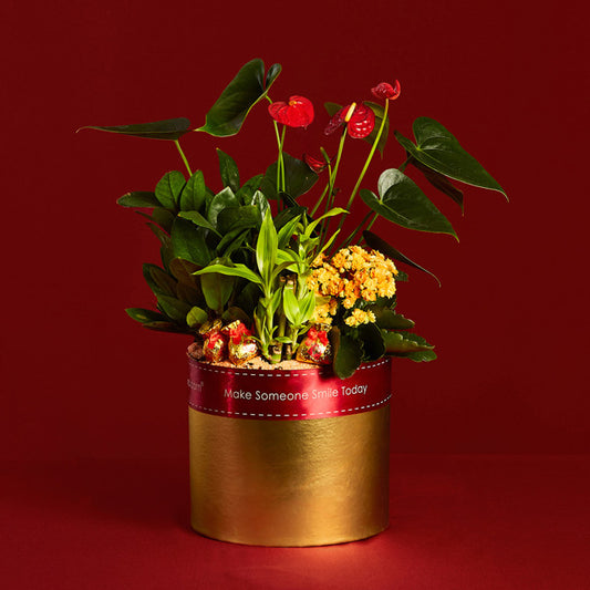 Pot Of Gold – Table Garden