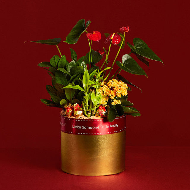 Pot Of Gold – Table Garden